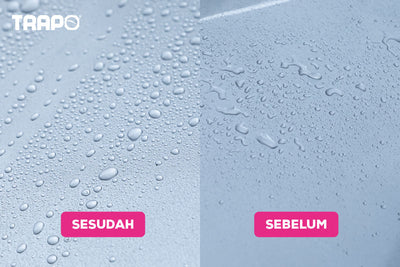 Trapo Shineguard Car Coating