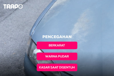 Trapo Shineguard Car Coating