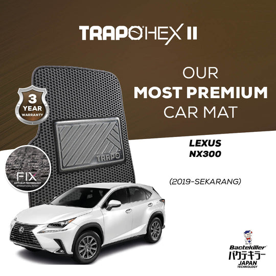 Lexus NX 300 (2019-Sekarang)