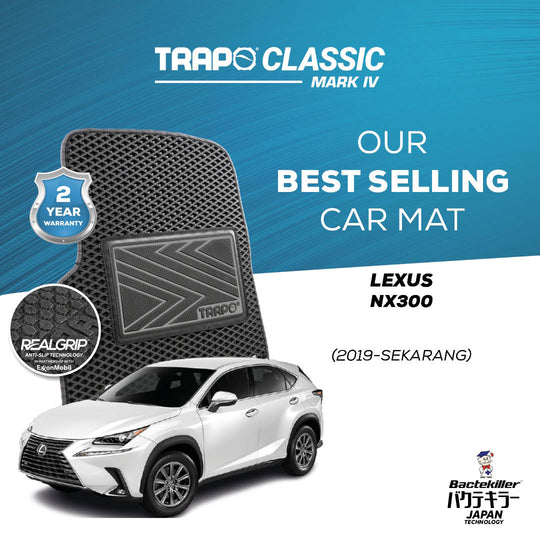Lexus NX 300 (2019-Sekarang)
