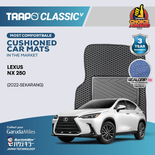 Lexus NX 250 (2022-Sekarang)