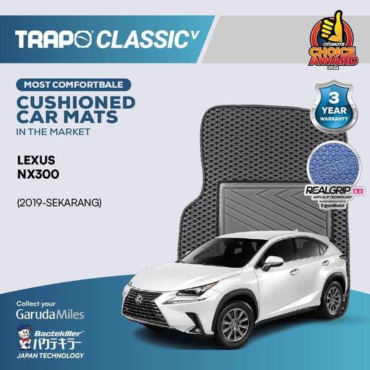 Lexus NX 300 (2019-Sekarang)