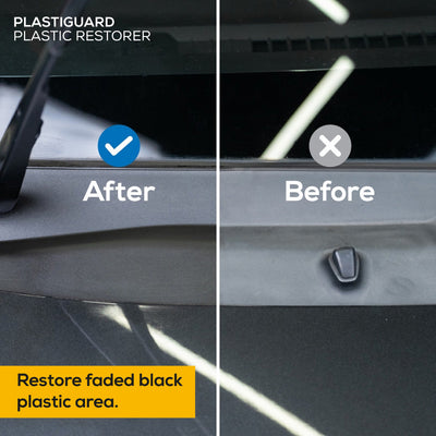 Trapo Plastiguard Plastic Restorer