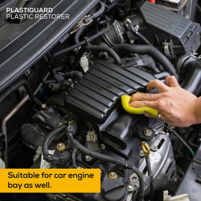 Trapo Plastiguard Plastic Restorer