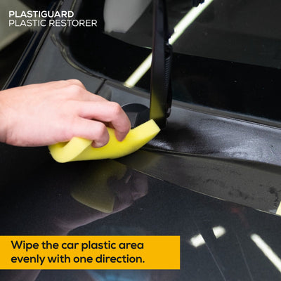 Trapo Plastiguard Plastic Restorer